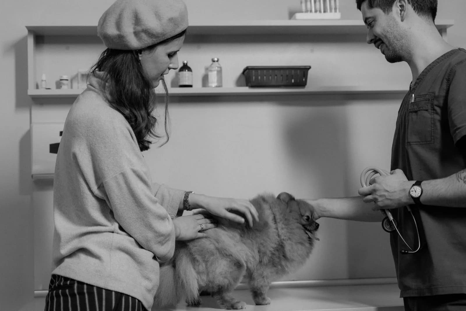 Veterinarian examining dog owner — Veterinarians marketing by TML Agency