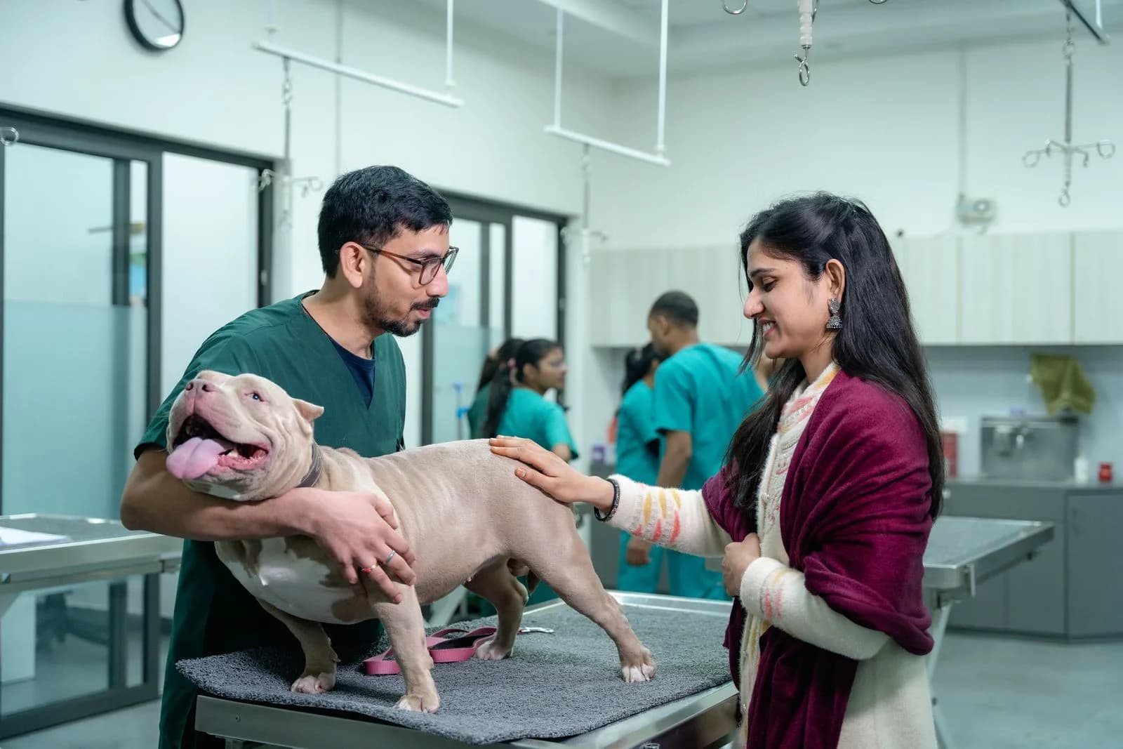 Vet explaining health family — Veterinarians marketing by TML Agency