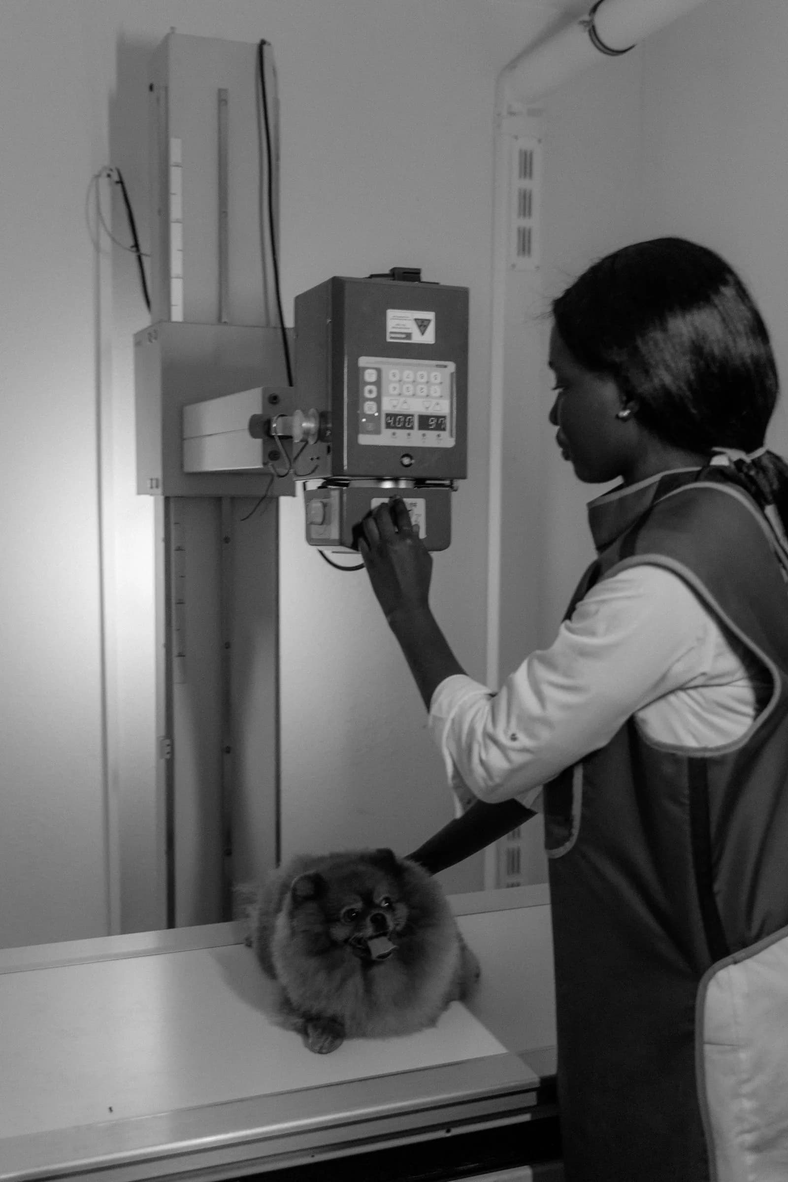 Vet technician comforting dog — Veterinarians marketing by TML Agency