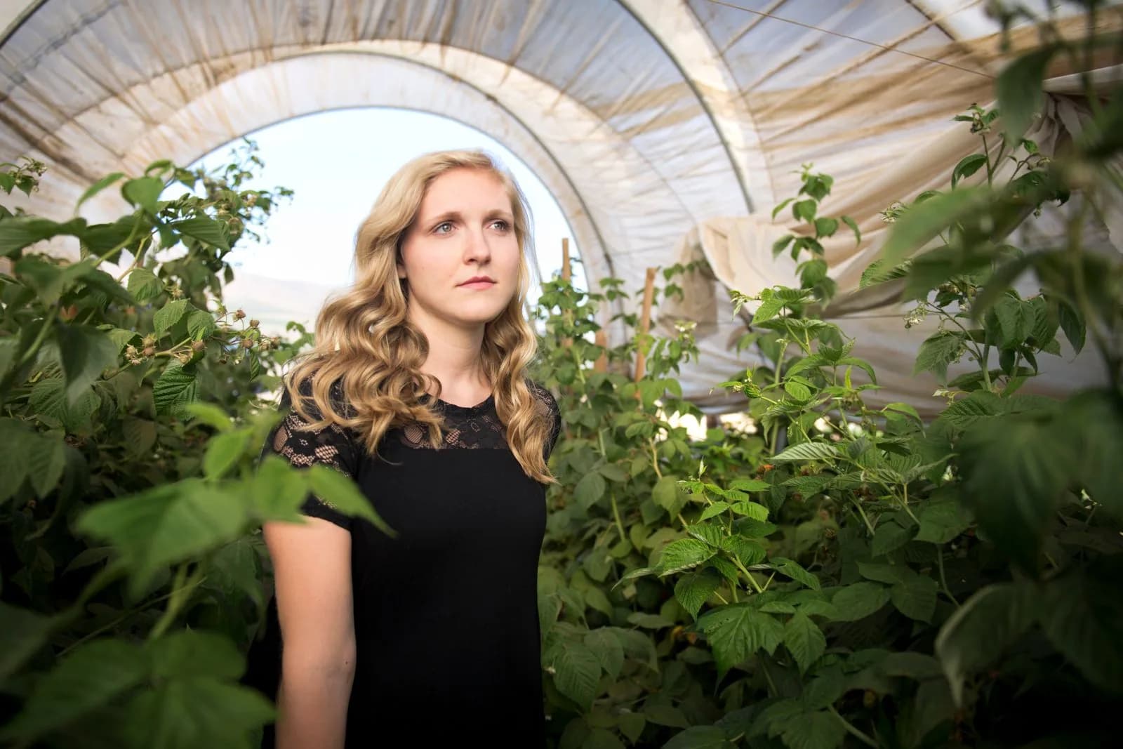 Greenhouse smart sensors — Agriculture & AgTech marketing by TML Agency