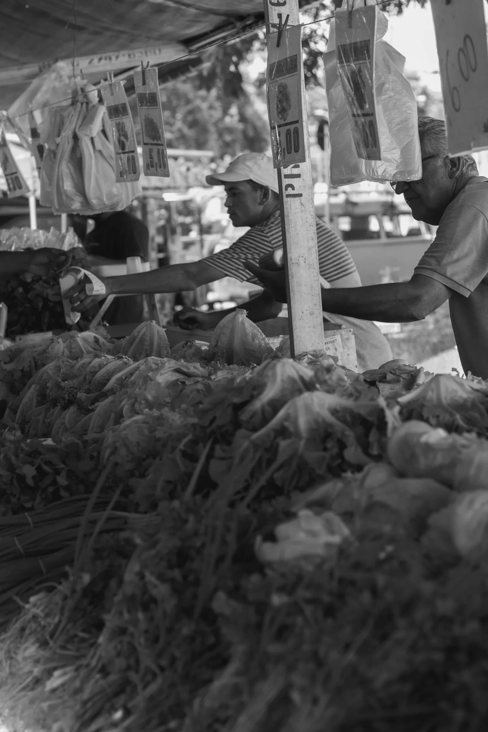 Farmer delivering produce — Agriculture & AgTech marketing by TML Agency